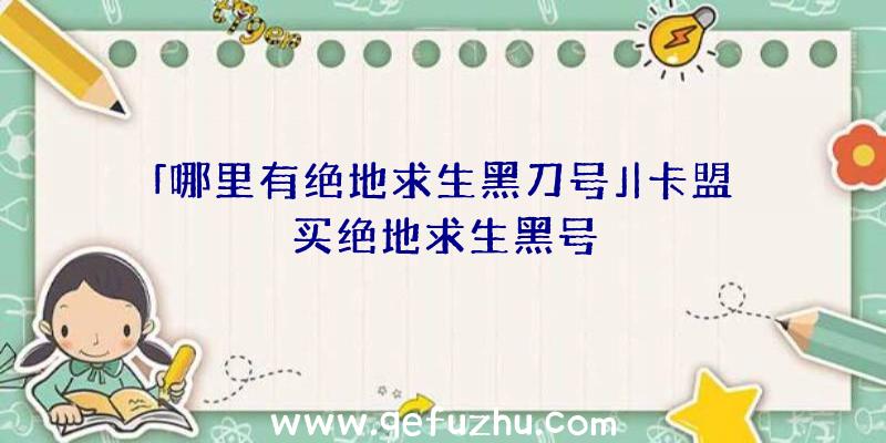 「哪里有绝地求生黑刀号」|卡盟买绝地求生黑号